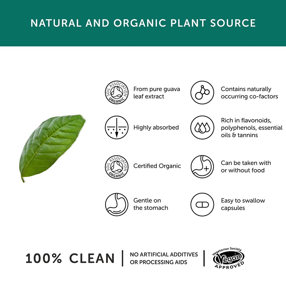 Together Health – Organic Zinc